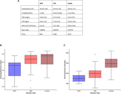 Impact of Distribution and Network Flushing on the Drinking Water Microbiome